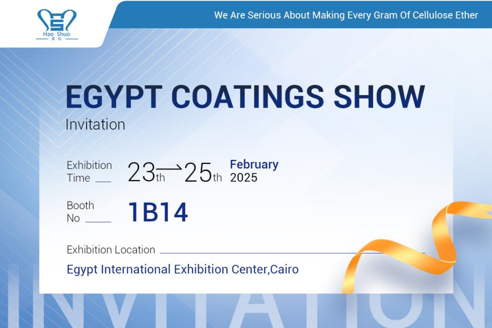 Hydroxypropyl Methylcellulose (HPMC) for Coatings
